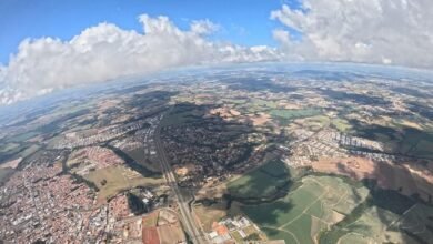 sector development identifiers listed