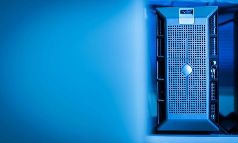 access services from ssapunjaborg