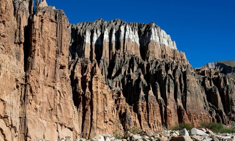 exploring sjuyue s unique features