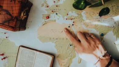 seznam cz search guide overview