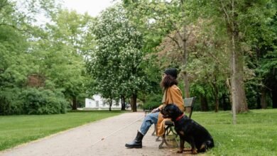 seznam full access guide