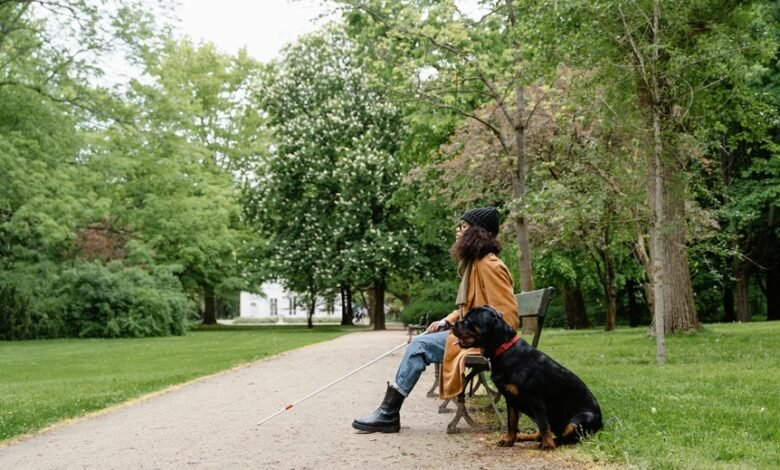 seznam full access guide