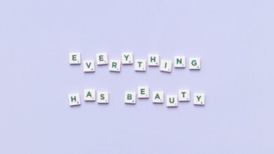 everything you need to know